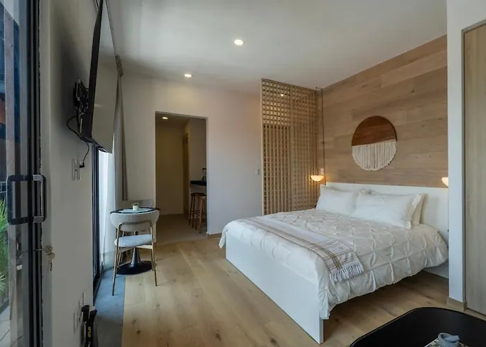 Apartment Upscale 2br 2ba, Ac, Balcony, Gym, Pool & Skydeck Mexiko-Stadt